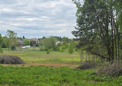 działka na sprzedaż - Mierzęcice, Boguchwałowice