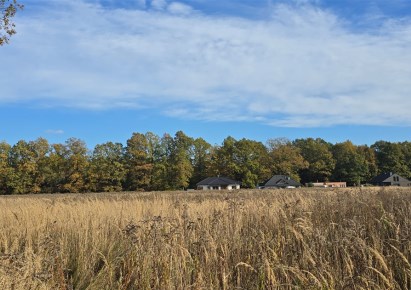 działka na sprzedaż - Tworóg, Brynek