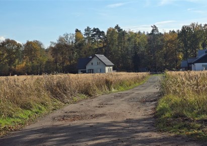 działka na sprzedaż - Tworóg, Brynek