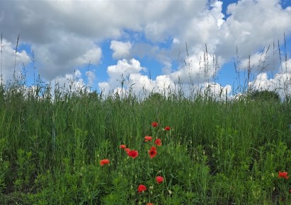 działka na sprzedaż - Świerklaniec, Nakło Śląskie