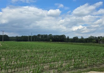 działka na sprzedaż - Zbrosławice, Wieszowa