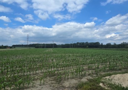 działka na sprzedaż - Zbrosławice, Wieszowa